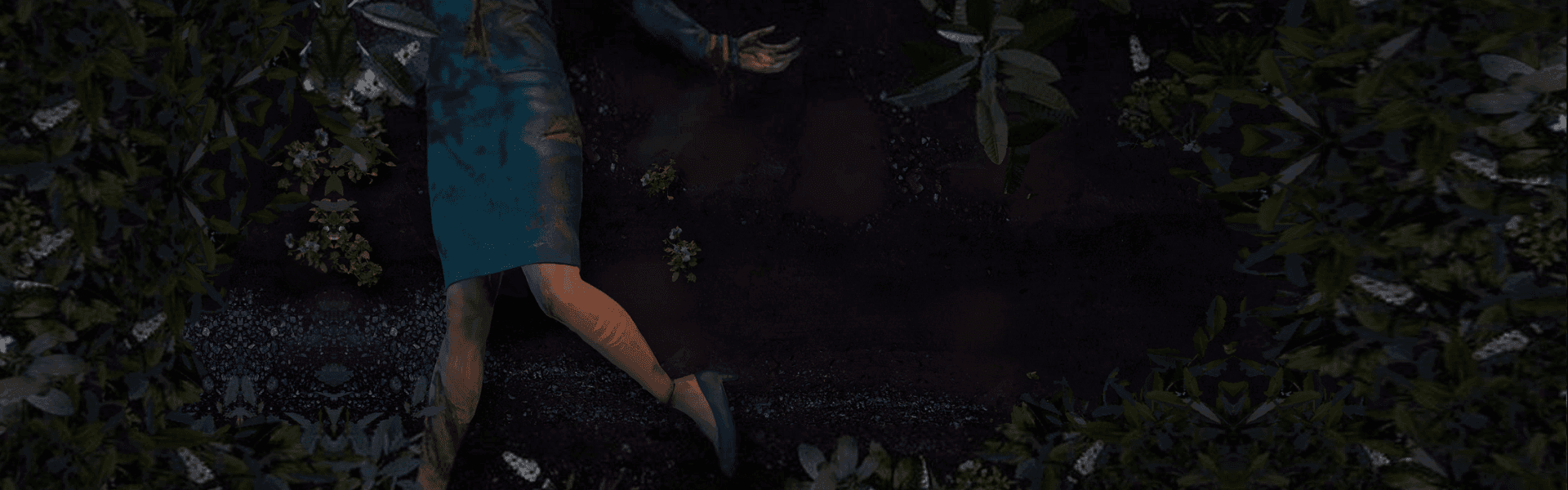 The Forest Header Image